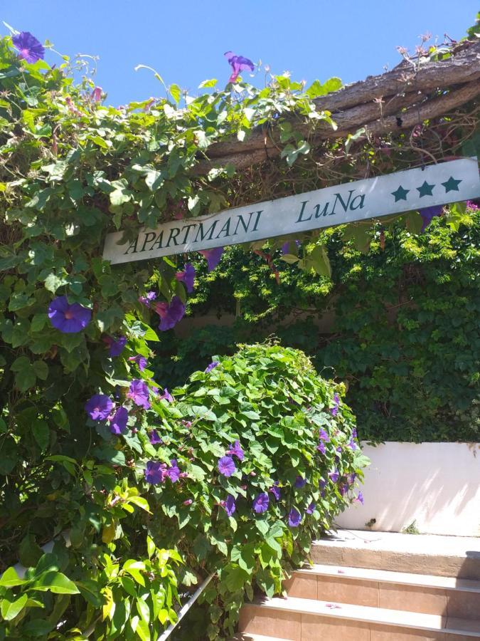 Apartmani Luna Hvar Town Eksteriør billede