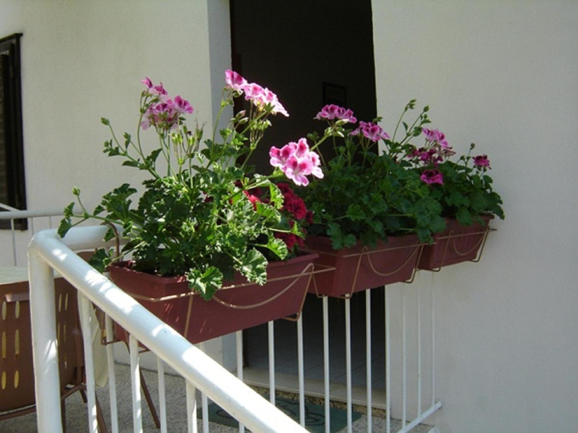 Apartmani Luna Hvar Town Eksteriør billede