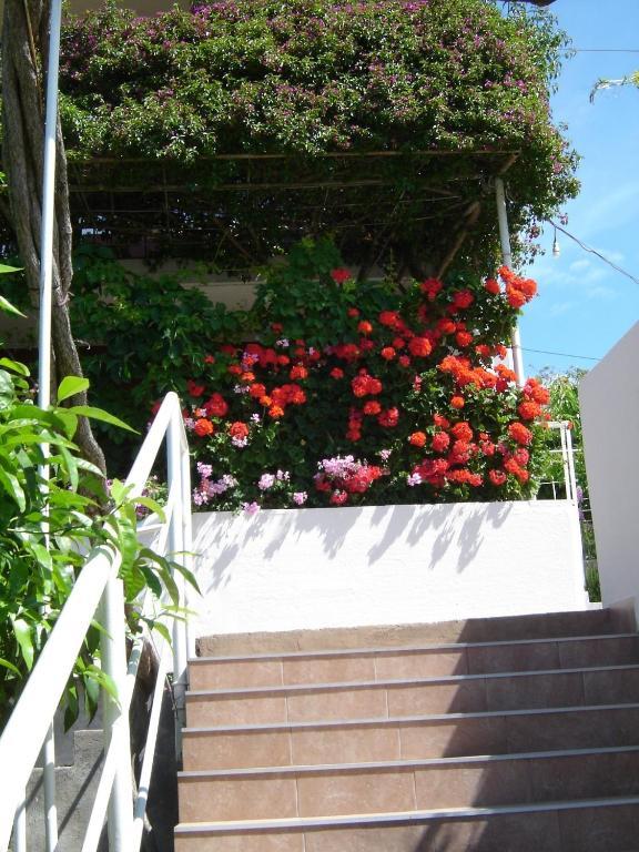 Apartmani Luna Hvar Town Eksteriør billede