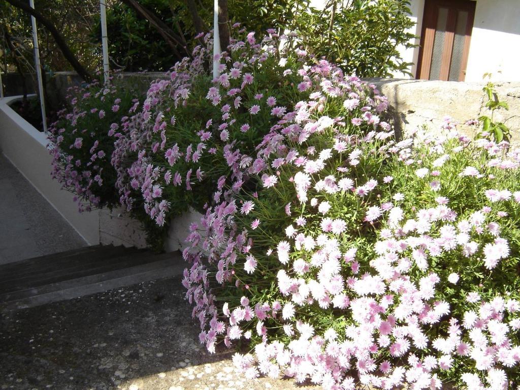 Apartmani Luna Hvar Town Værelse billede