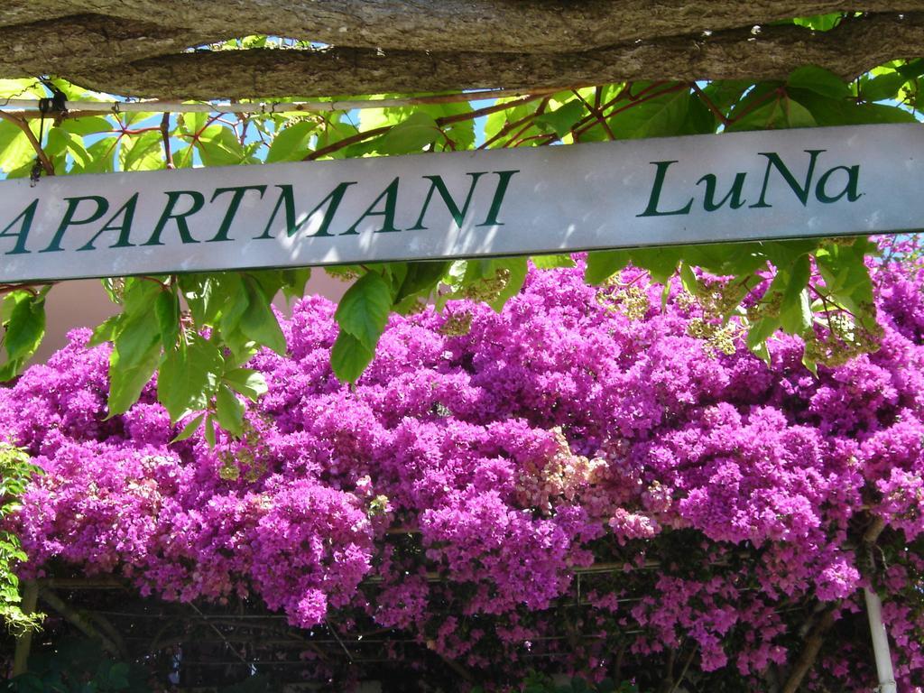 Apartmani Luna Hvar Town Eksteriør billede